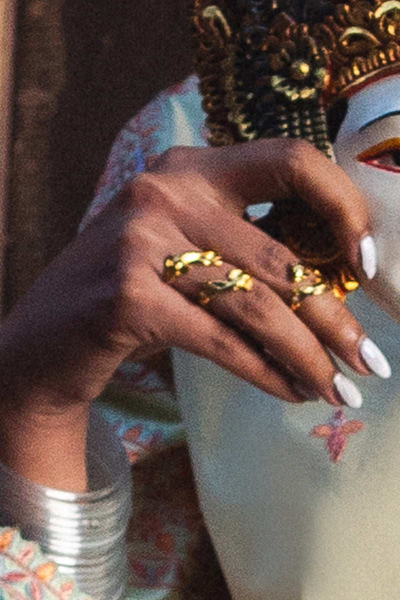 2 Fish Rings