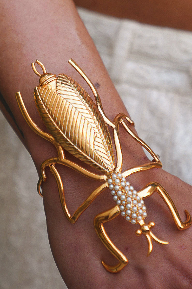 Praying Mantis