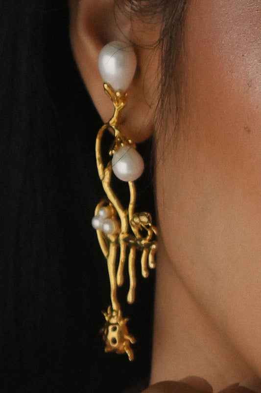 Insect Ladybug Earrings